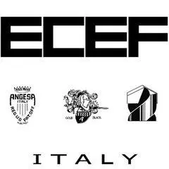 ECEF