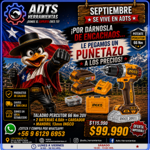 Taladro Percutor 66 Nm 20v+2 Bat.2.0Ah+Cargador,Mandril 13mm INGCO